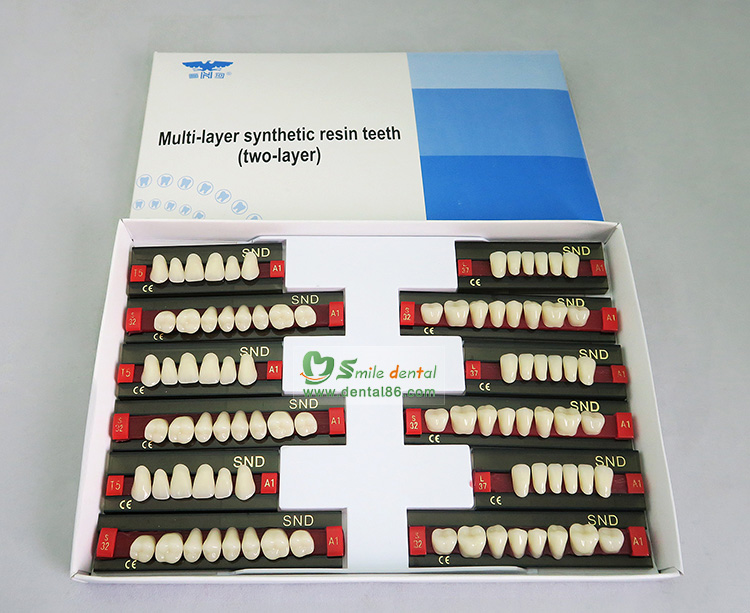 Two Layer Acrylic Resin Teeth